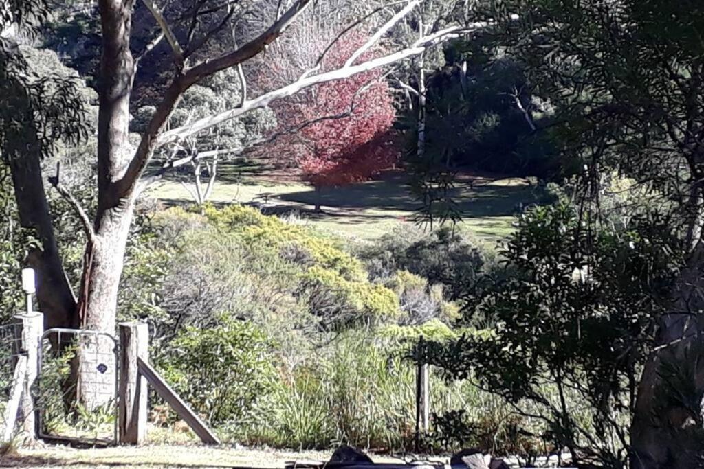 Katoomba Falls Cottage Екстер'єр фото